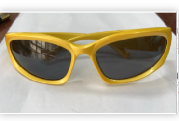 Chic Sports Sunglasses
